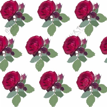 手绘红玫瑰装饰图案背景