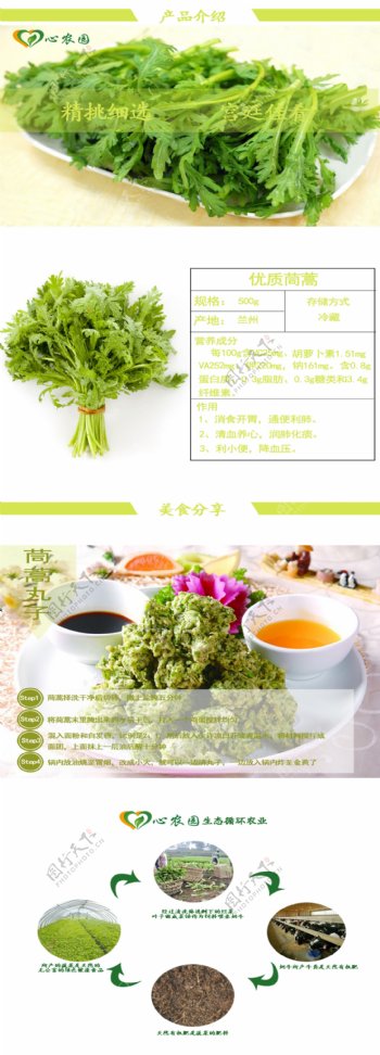 蔬菜茼蒿淘宝设计