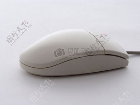 mouse0017.jpg