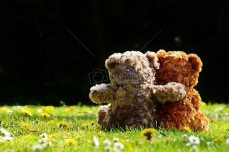 草地上的一对泰迪熊