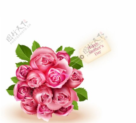 母亲节粉色玫瑰花束矢量图