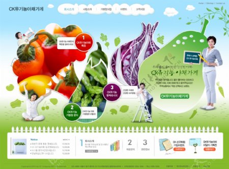 营养家营养师网页PSD模板
