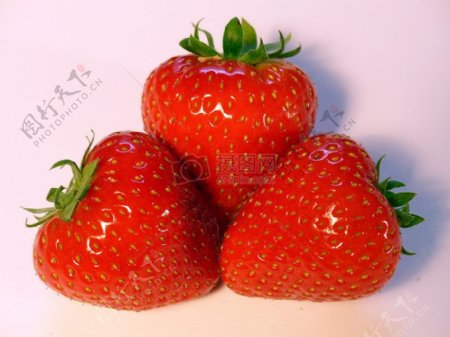 美味的小草莓