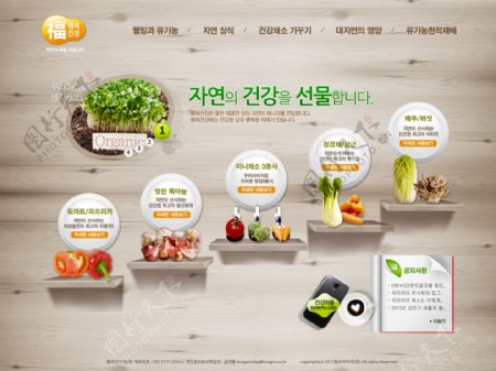 蔬菜网站psd网页模板
