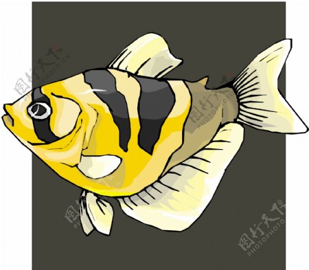 五彩小鱼水生动物矢量素材EPS格式0366