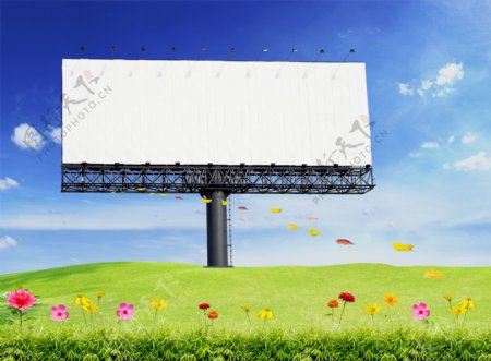 绿地草坪上的广告牌图片