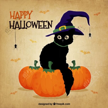 黑猫与女巫帽万圣节