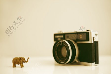大象摆件与照相机
