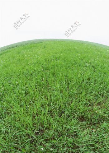 地球形状的草地背景图片图片