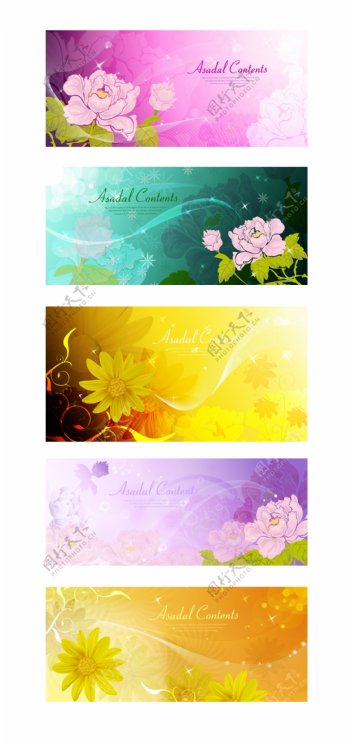 彩色牡丹花菊花商业背景素材图片