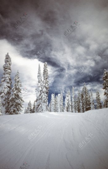 自然雪景摄影图片