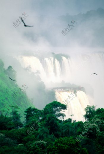 热带雨林瀑布高清图片