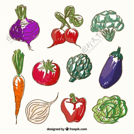 9款彩绘蔬菜矢量素材