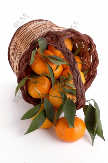 竹篮里的橘子