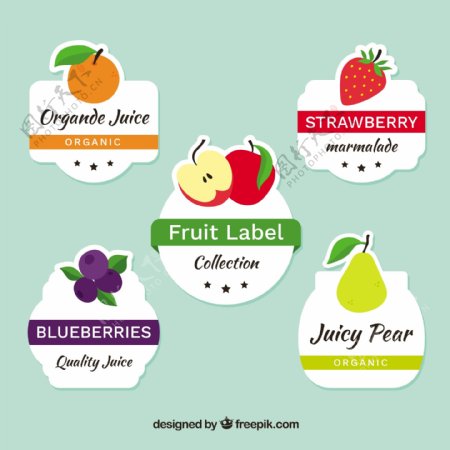不同水果的装饰标签图标