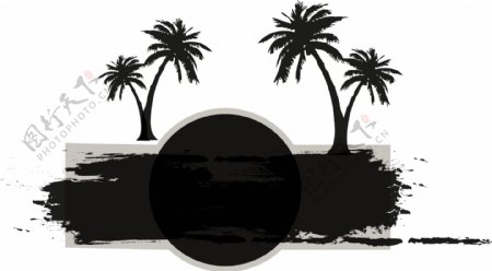 黑色大海椰树