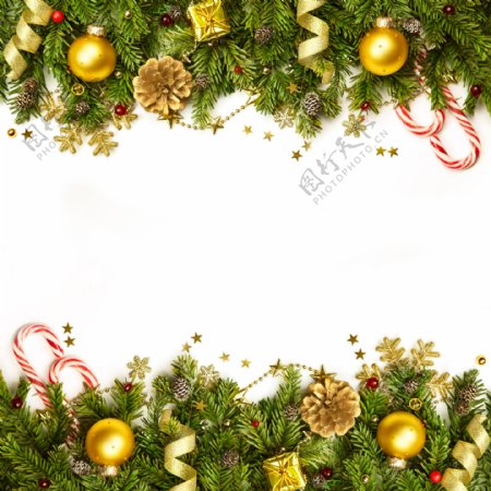 松枝上的飘带与圣诞球图片