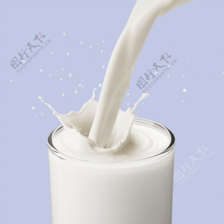 Milk04图片