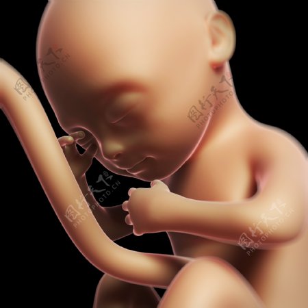 子宫里发育好的宝宝图片