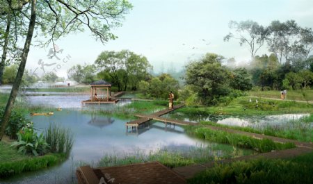 湿地公园环境设计图片