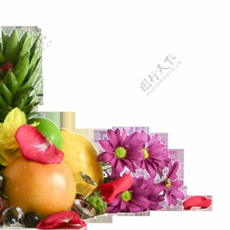 水果和鲜花唯美高清素材