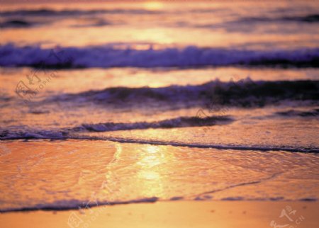 黄昏时候的海滩高清图片