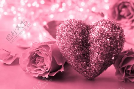 粉色玫瑰与爱心图片