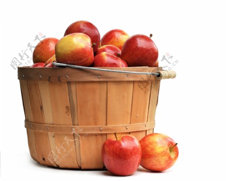 一桶苹果和两个苹果图片