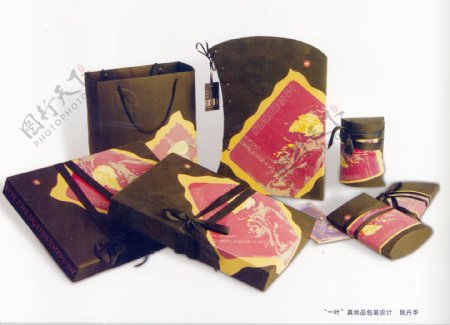 提袋盒装组合包装设计0038