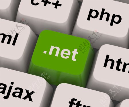 NET键显示的编程语言或域