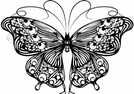 线描蝴蝶简洁翅膀美丽