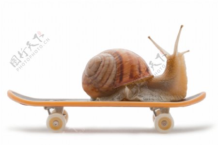 滑板上的蜗牛