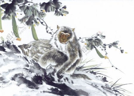 猴写意动物画国画0041