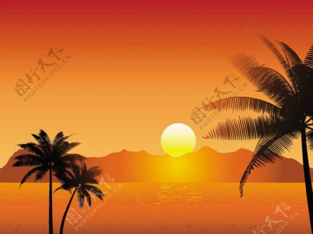 红色夏季海滩元素棕榈树背景
