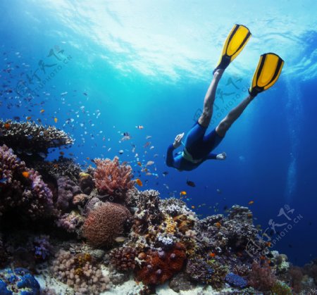 海底世界与潜水者图片