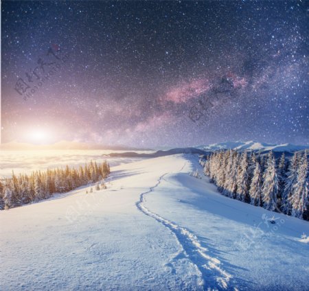 星空雪地树林图片