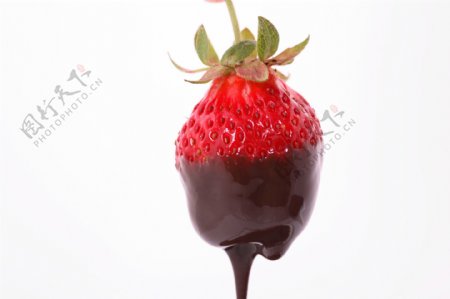 草莓巧克力摄影图片图片