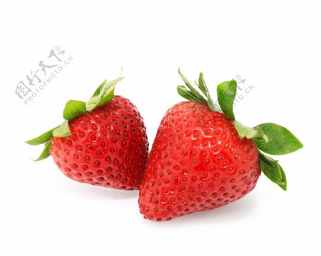 两个草莓图片