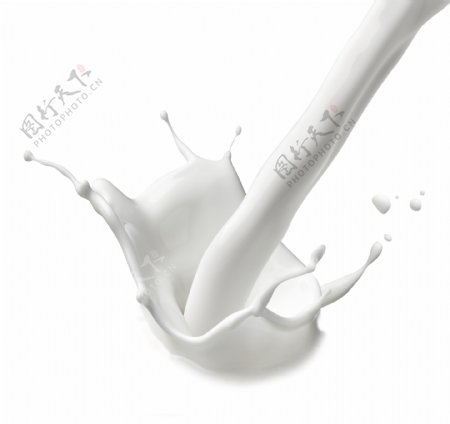 白色喷溅牛奶图片