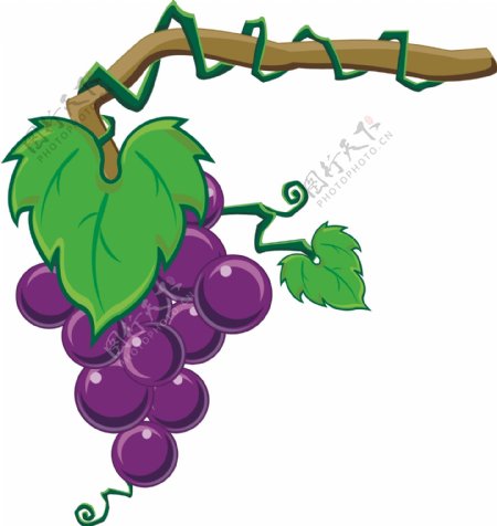 卡通紫色葡萄设计元素