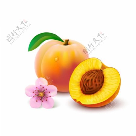 手绘桃子图片