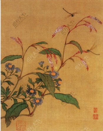 花卉草虫图a花鸟画中国古画0442