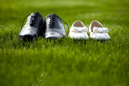 草地上的鞋子摄影