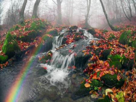 秋天树林小溪瀑布风景图片