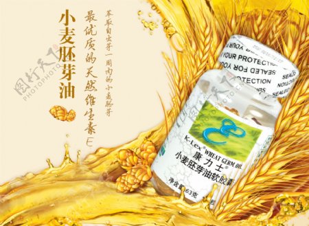 康力士小麦胚芽油广告图片