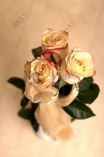 玫瑰花卉花瓣花束新娘花束新娘茶馆时间生日