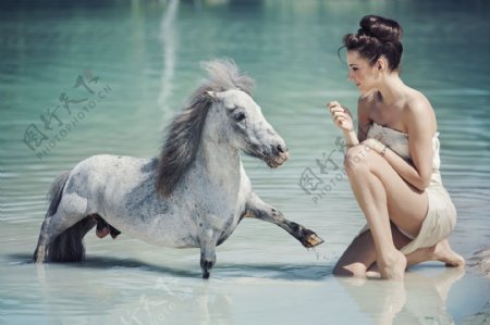 矮脚马与性感美女图片