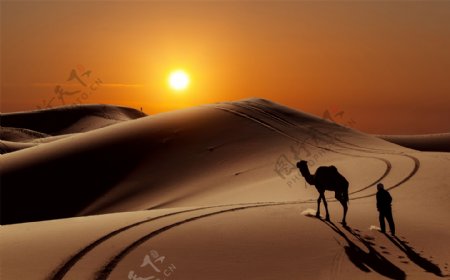 夕阳沙漠骆驼剪影图片