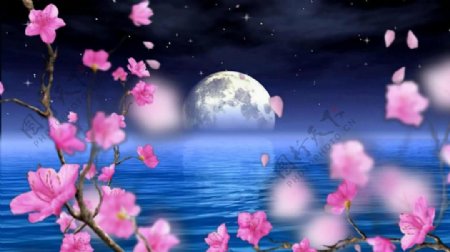 中秋月亮海面桃花