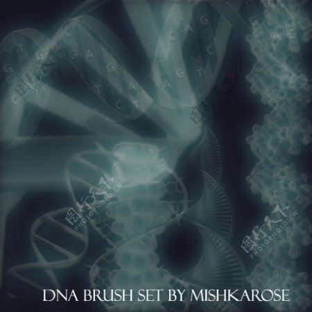 DNA效果笔刷